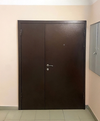 Тамбурная порошковая дверь