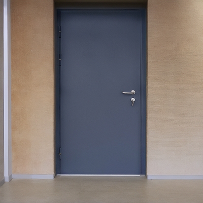 Стальная однопольная дверь