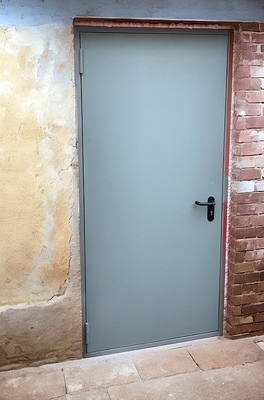 Стальная огнезащитная дверь