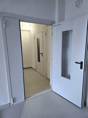 Остекленные двери