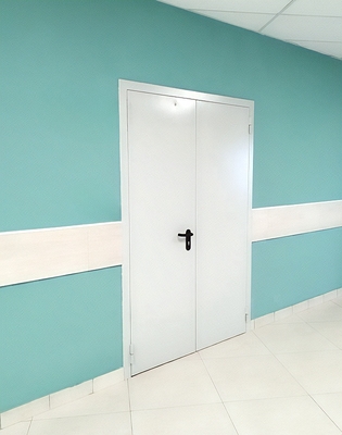 Глухая двупольная дверь