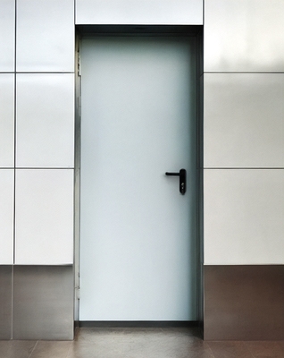 Глухая однопольная дверь